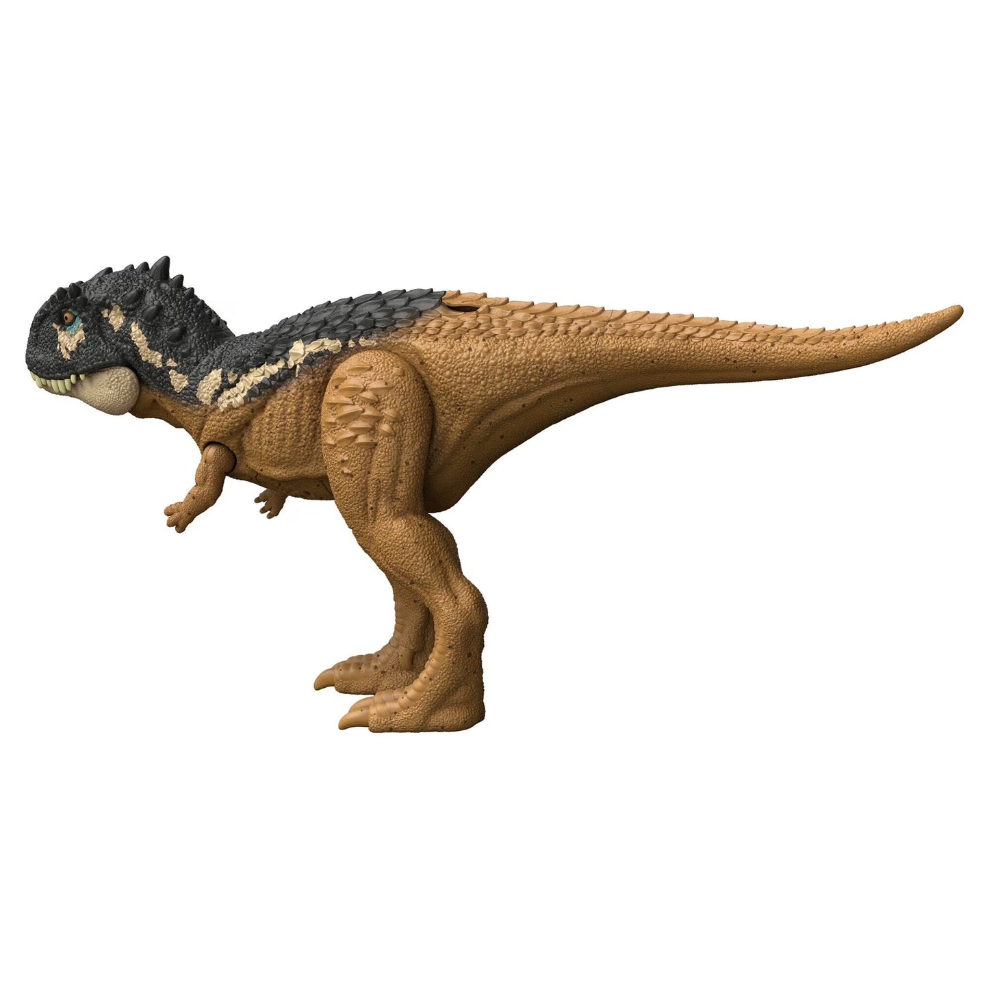 : Dominion Roar Strikers Dinosaur Figures Medium Size for 4 Year Olds & Up