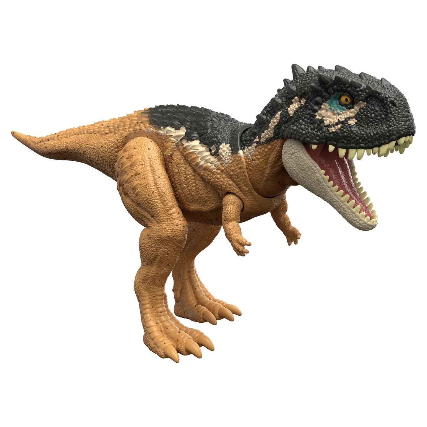 : Dominion Roar Strikers Dinosaur Figures Medium Size for 4 Year Olds & Up